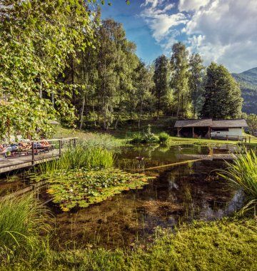 Yoga Urlaub Italien Südtirol Hotel Gasthof Saalerwirt Berge Natur Garten