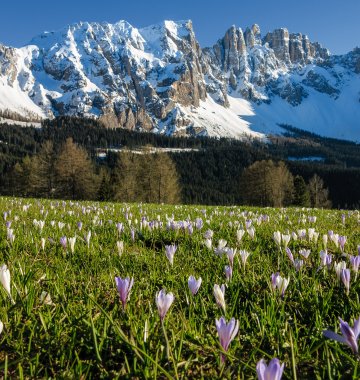 Ayurveda Urlaub Italien Süedtirol Hotel Engel Natur Wiese Frühling Berge 