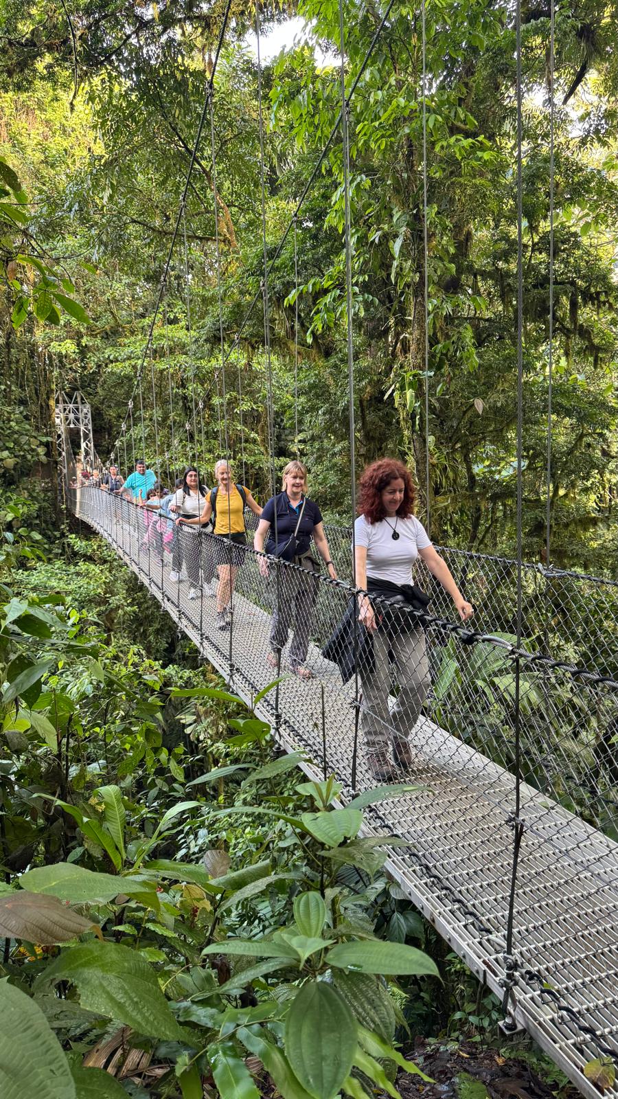 Menschen auf einer Hängebrücke