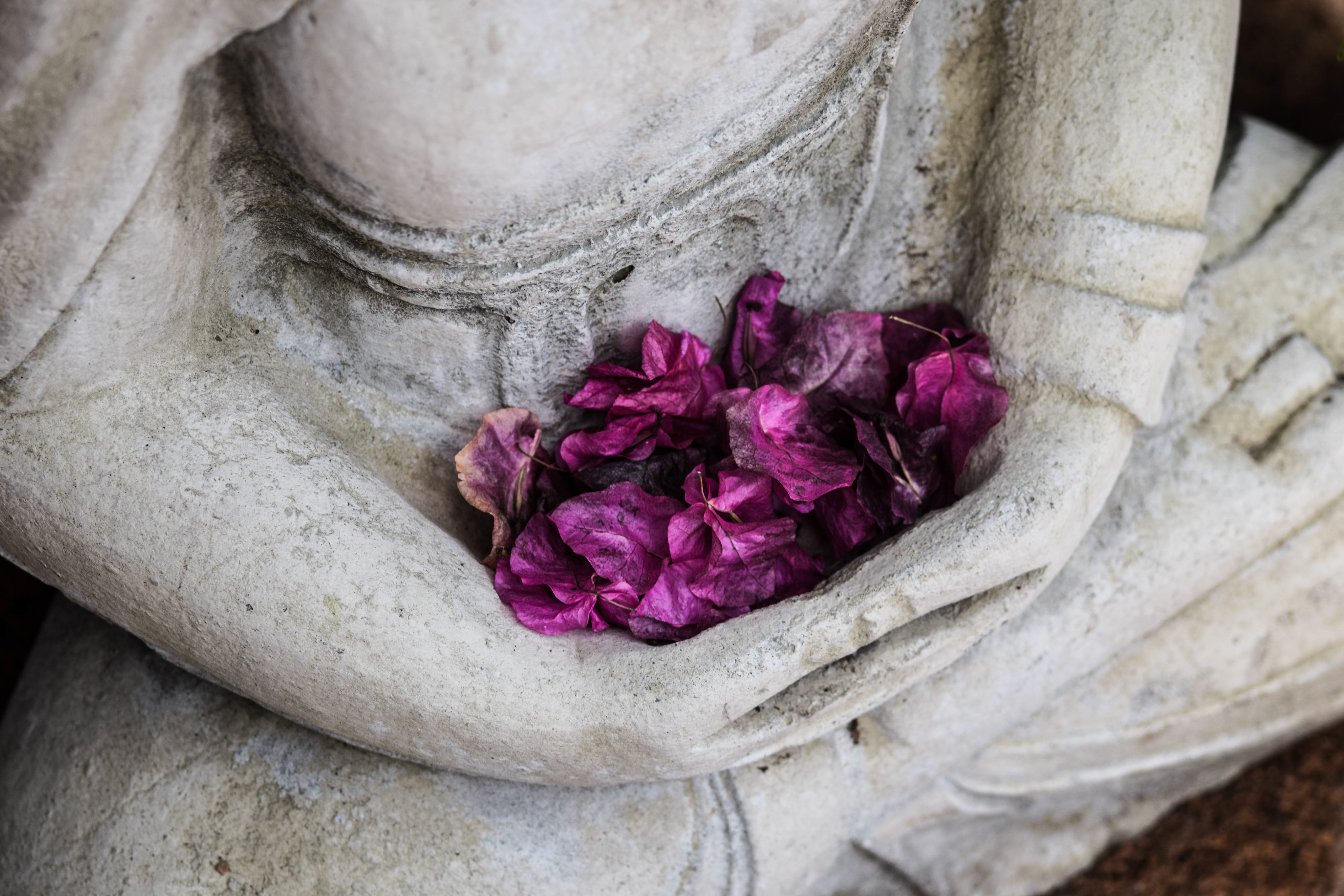 Eine Buddha Statue mit lilanen Blüten