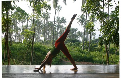 In der Natur Yoga üben
