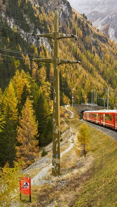 Zug fährt durch die Berge