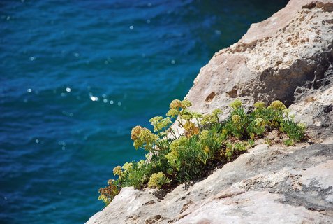 An der Küste der Algarve bereiten einem auch die Kleinigkeiten eine Freude