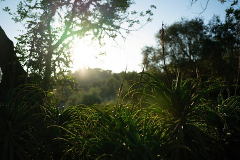 Der Garten um die Finca herum lädt zu viel Entspannung ein