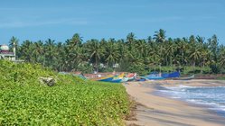 ayurveda-kuren-indien-kadaltheeram-ayurvedic-beach-resort-strand Der nahe gelegene Strand lädt zu Strandspaziergängen ein