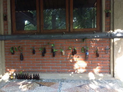 So schön kann Upcycling-Deko sein: alte Plastikflaschen wurde von den Schülern bepflanzt