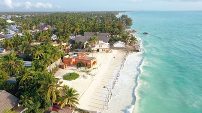 Unter Palmen entspannen