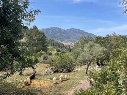 Idyllischer Ausblick auf die Natur rund um die Finca