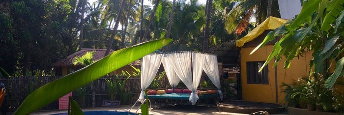 Im Devarya Wellness Resort können Sie ein erfrischendes Bad im Pool umgeben von unzähligen Palmen genießen
