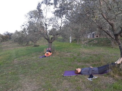 Die Gruppe tankt Energie und Kraft bei der Meditatioin in den Olivenhainen
