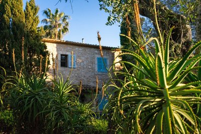 Die wunderschöne Finca im Frühling