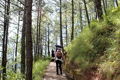 Wanderung zum Khamsum Yulley Namgyal Chorten