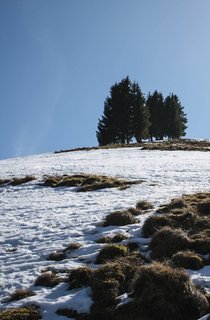 Die wunderschöne Aussicht und die kraftvolle Natur machen es leicht, in die Erholung einzutauchen