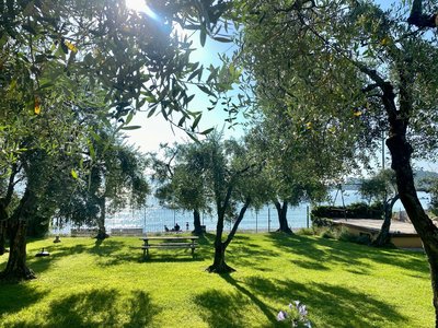 Unter Olivenbäumen und Zypresse am Gardasee entspannen