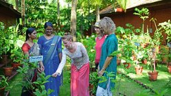 -kuren-indien-kerala-nattika-beach-resort-hotel-anlage-garten-kraeuter-kur-gaeste Das Nattika Beach baut im hauseigenen Kräutergarten seine eigenen Kräuter für Gewürze und Öle, die beim ayurvedischen Essen und auch bei den Massagen Anwendung finden