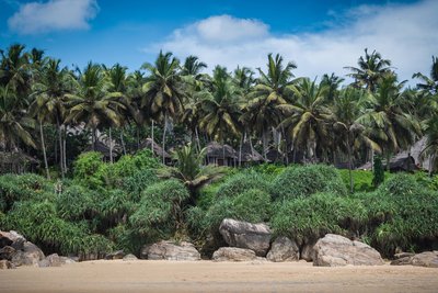 Das Somatheeram Health Resort liegt direkt am weißen Sandstrand