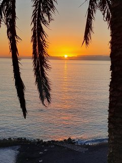 Das Meer bei Sonnenuntergang unter einer Palme