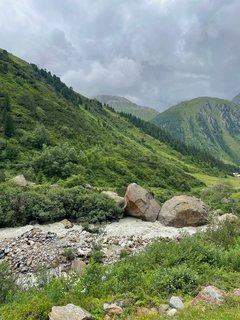 Die Ruhe der Natur