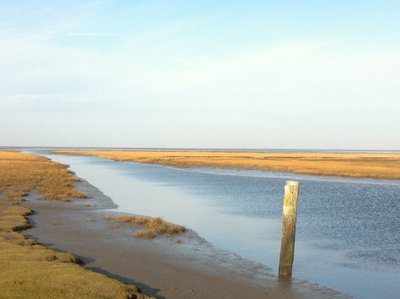 Erkunden Sie die Umgebung vom Haus am Watt