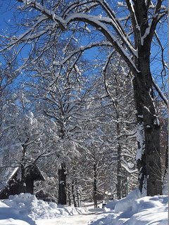 Wunderschön verschneite Wege auf den Wanderungen 