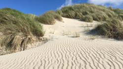 yoga-reise-deutschland-nordsee-baltrum-naturhotel-strand Erkunden Sie die Insel Baltrum und seine Dünnenlandschaften