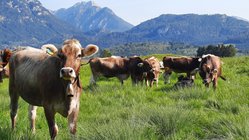 lechlife-tirol-wandern-silke-mauersberger Die Tiroler Bergluft lädt zum Abschlaten ein