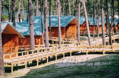 Viel Holz, große Fenster, Pinien ringsum: Die Architektur des FeelViana fügt sich in die Landschaft ein.