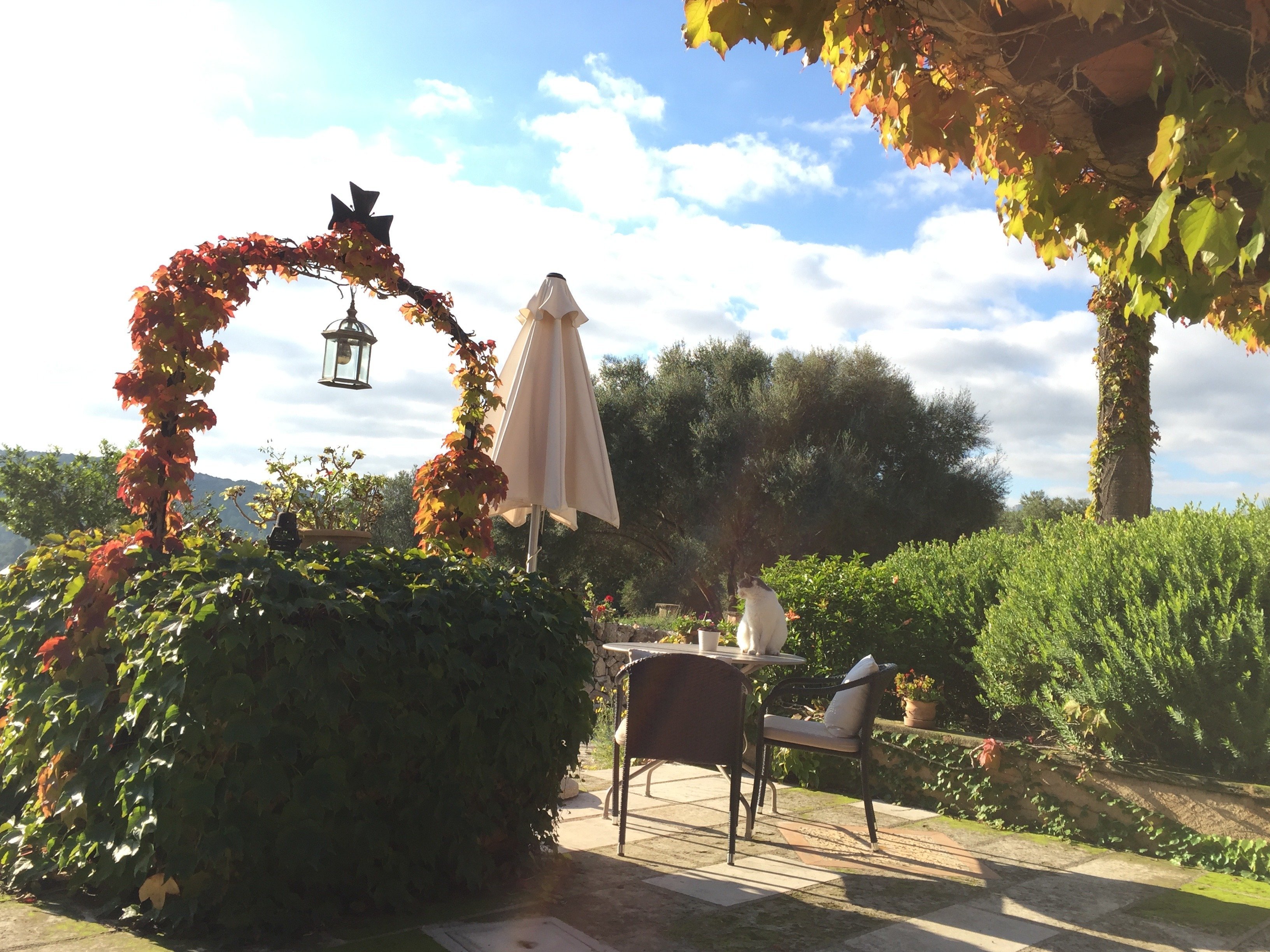 Spanien Mallorca Finca Son Mola Vell Genießen Sie die Sonnenstrahlen auf der Terrasse der Finca Son Mola Vell auf Mallorca