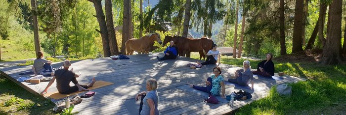 Bei der Yoga-Stunde war die Gruppe umgeben von grünen Wäldern und diesen sanften Vierbeinern.