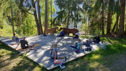yoga-urlaub-europa-saalerwirt-judith-mcclellan Bei der Yoga-Stunde war die Gruppe umgeben von grünen Wäldern und diesen sanften Vierbeinern.