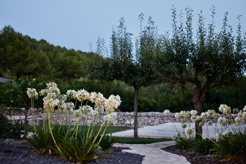 Die wunderschönen Wege bei der Finca
