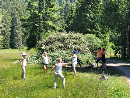 Möchten Sie auch inmitten der Natur Yoga praktizieren?