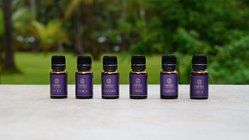 ayurveda-indien-kerala-nattika-beach-resort-essential-oils-alle-oele Die wunderbaren Essential Oils des Nattika