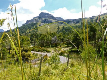 Wunderschöne Wanderwege entlang der Tramuntana Gebirge