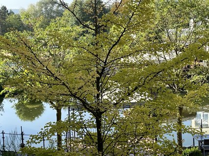 Yoga-Urlaub im Seehotel Niedernberg