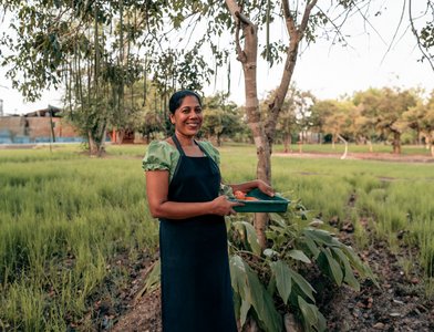 Stolz ist man im Ayurvie Sigiriya Retreat auf den großen biologischen Gemüse- und Kräutergarten