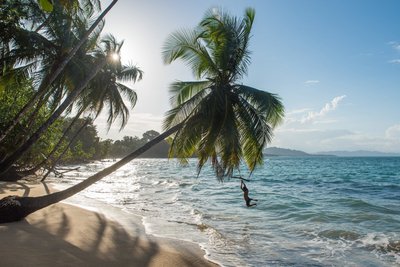 Der Punta Uva Strand an der Karibikküste Costa Ricas