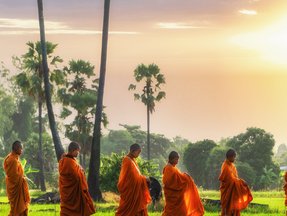 Buddhistische Mönche gehen nacheinander in einer Reihe mit einer Schüssel in der Hand über ein Reisfeld