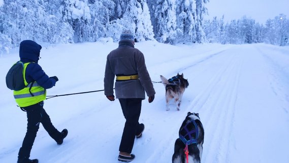 Die Schlittenhunde bei einer Winterwanderung kennenlernen