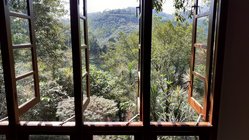 yoga-urlaub-sri-lanka-singharaja-garden-eco-lodge-ausblick Ein prächtiger Ausblick über den Dschungel