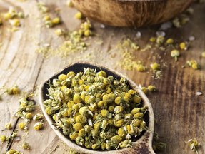 Getrocknete Kamillenblüten auf einem Holzlöffel