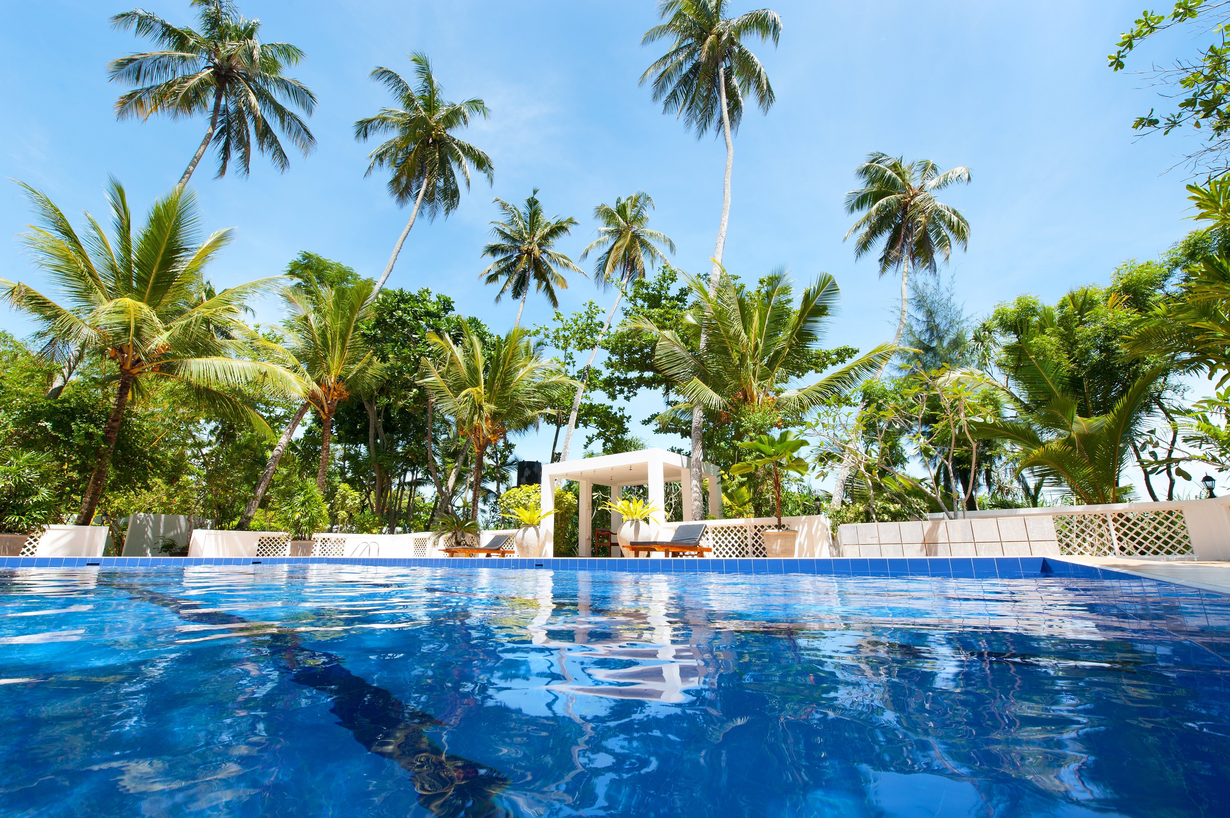Entspannung pur am Pool