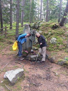 Durchstreifen Sie die ruhigen Wälder Südtirols 