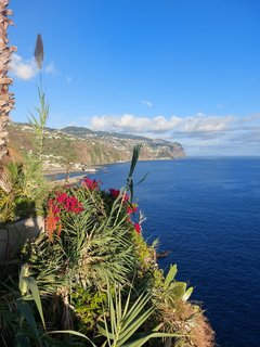 Blick über die Insel Madeira mit blauem Himmel, grünen Pflanzen, Meer und Bergen