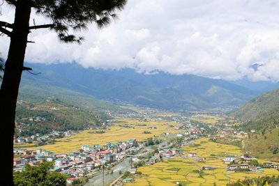 Blick auf das Paro Tal