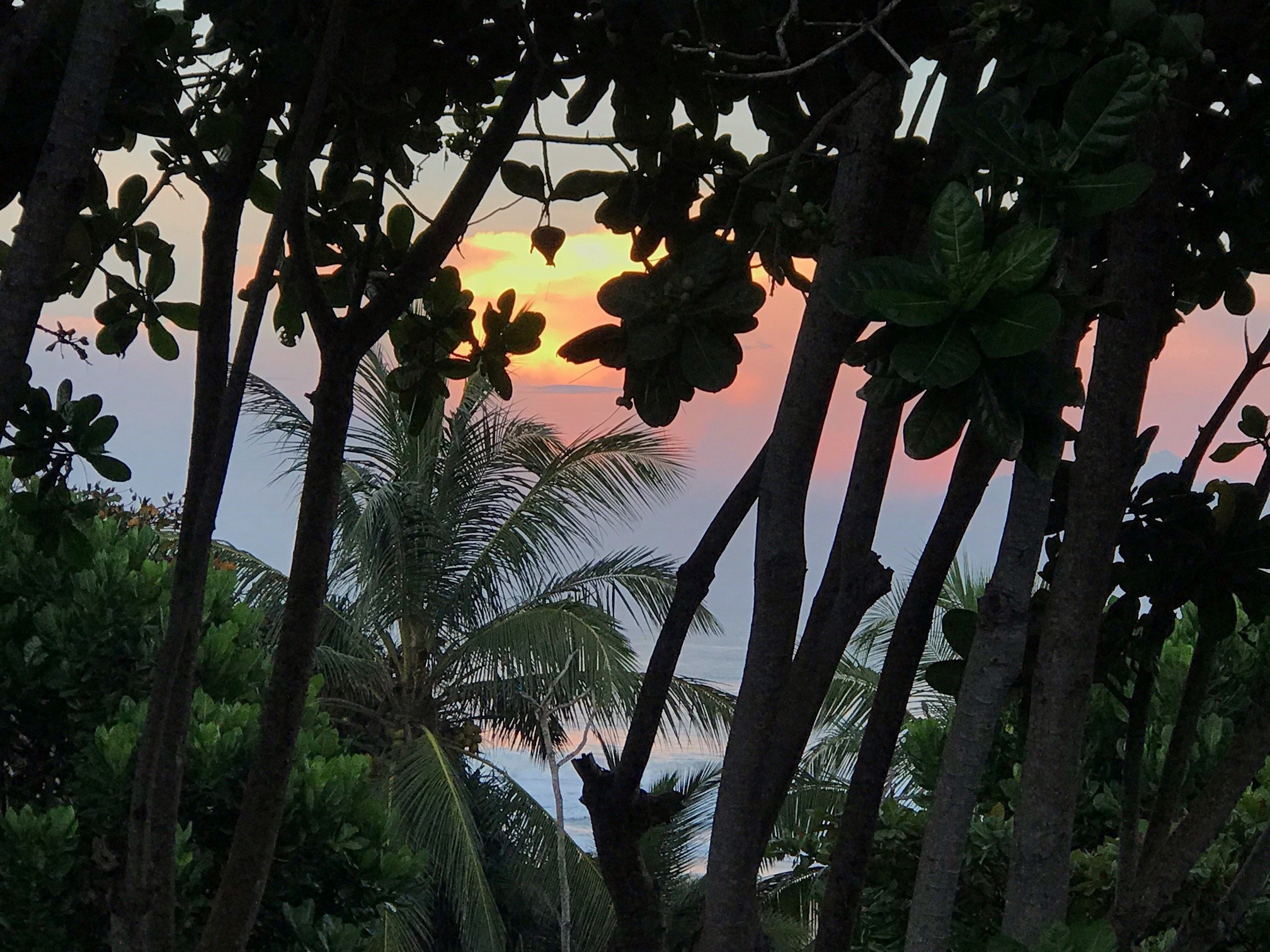 sri-lanka-maria-wohlwend-sonnenuntergang-palmen Farbenfroher Sonnenuntergang in Sri Lanka