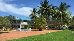 Weites Oasis-Paradies