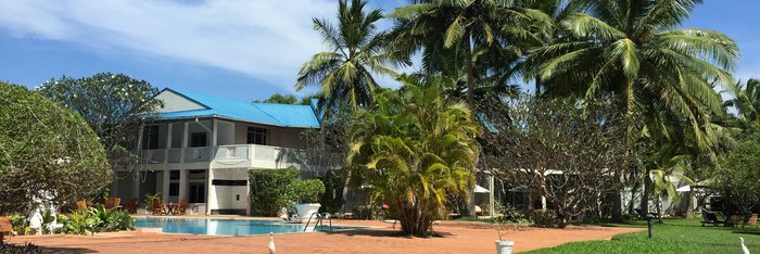 Weites Oasis-Paradies