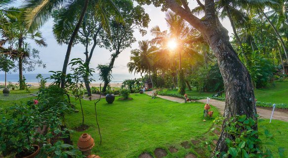 Erholen Sie sich nach Ihrer Panchakarma-Kur im Somatheeram Ayurveda Resort bei einem Spaziergang im Garten