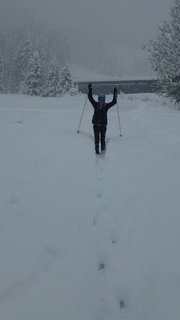 Auf den Skiern durch die Schneelandschaft 